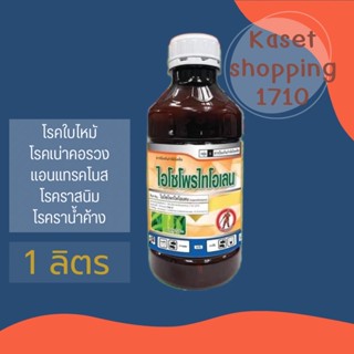 ไอโซโพรไทโอเลน 1 ลิตร  ป้องกันกำจัดใบไหม้ ราหลุม กาบใบเน่า กาบใบแห้ง เน่าคอรวง เมลาโลส แอนแทรคโนส โรคกุ้งแห้ง ราสนิม