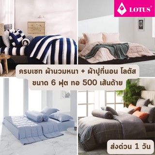 🔥HOT DEAL🔥 จัดเต็ม ! ลายธรรมดา (หนา14นิ้ว ทอ 490 เส้น) ครบเซท ผ้านวมและผ้าปูที่นอน LOTUS ขนาด 6 ฟุต (MELBOURNE+ATTITUDE)