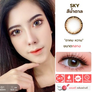 ไม่แถมตลับ Sky Brown (กลาง) คอนแทคเลนส์ Wink