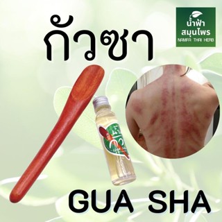 ส่งของทุกวันจากกทม กัวซา  นวดตัว Massager ไม้กัวซา สําหรับนวดร่างกาย ไหล่ คอ