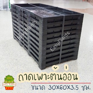 ถาดเพาะต้นอ่อน ต้นกล้า MicroGreen ถาดแช่เมล็ด แช่น้ำยา แบบไฮ…