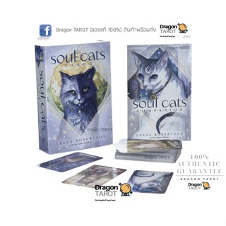 ไพ่ทาโรต์ Soul Cats Tarot (ของแท้ 100%) สินค้าพร้อมส่ง ไพ่แท้ ไพ่ยิปซี, ร้าน Dragon TAROT