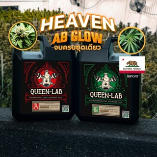 ปุ๋ยกัญชา AB ปุ๋ยAB HEAVEN AB GLOW Hydroponics นำเข้าจากแคลิฟอร์เนีย