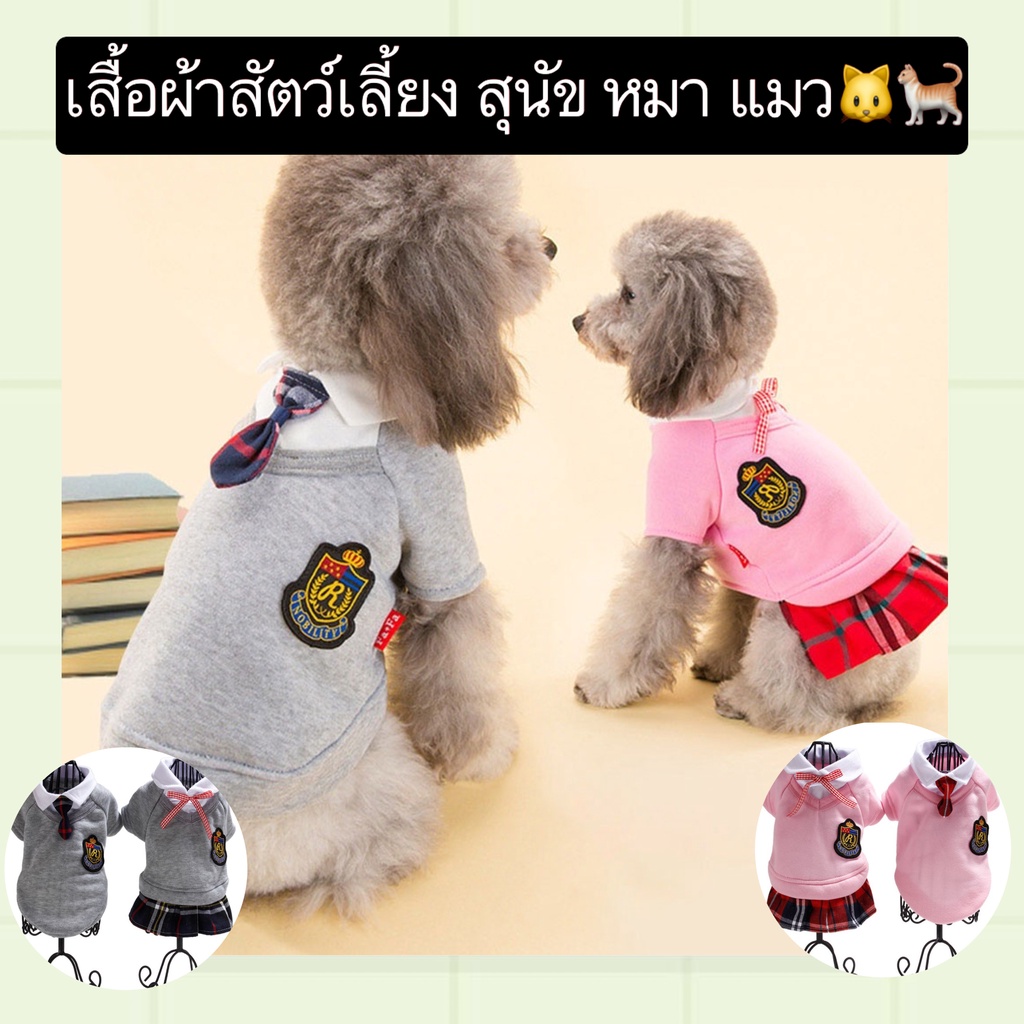 PP-410 ชุดโรงเรียนสัตว์เลี้ยง สำหรับสุนัขและแมว 🐶🐱 ชุดกระโปรงสุดน่ารัก ดีไซน์สดใส ใส่สบาย ราคาประหยัด พร้อมส่งทันที!