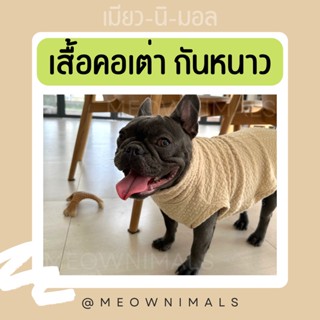 เสื้อคอเต่า กันหนาว เสื้อแมว เสื้อหมา มินิมอล พร้อมส่ง สีครีม