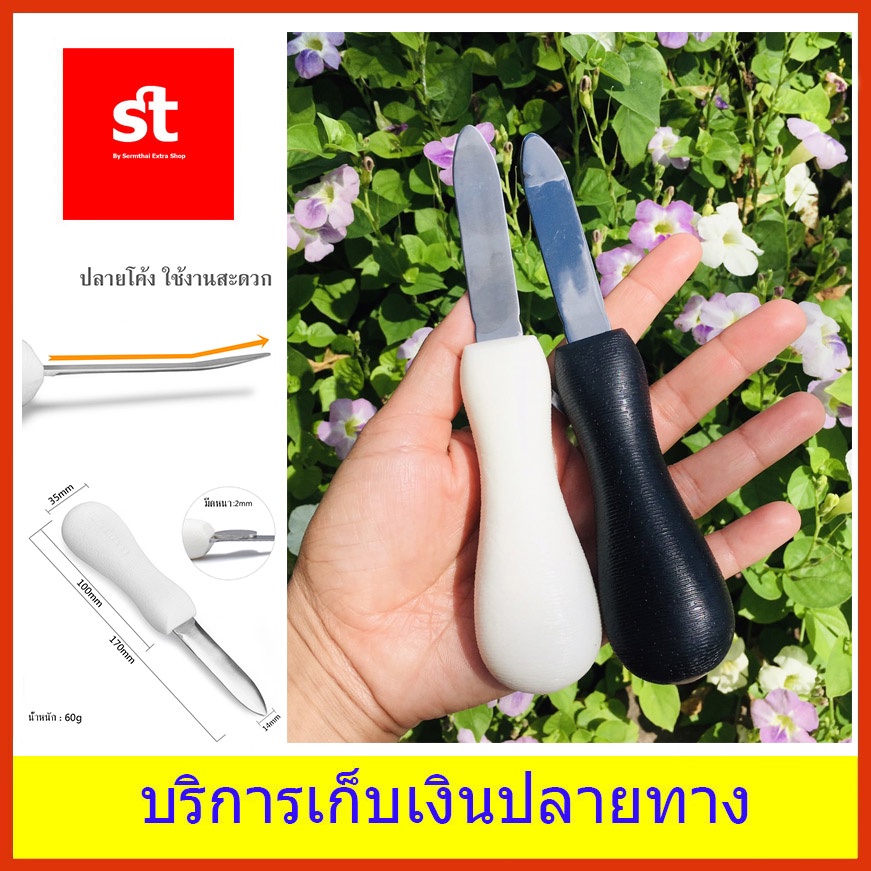 มีดแกะหอยนางรม 17ซม. ด้ามพลาสติก (ราคาต่อชิ้น)