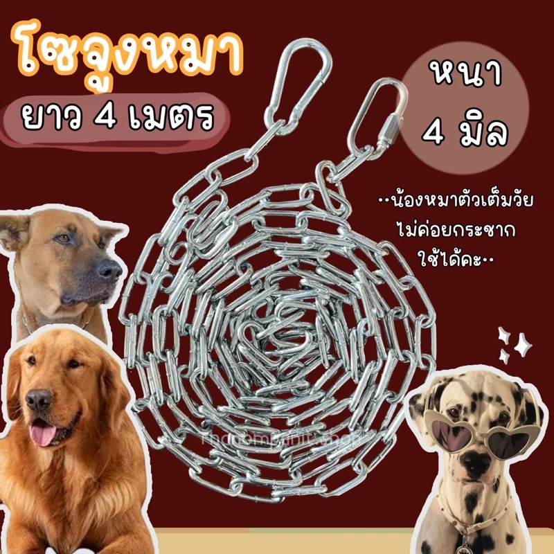 โซ่จูงสุนัข สแตนเลส ยาว 4m หนา 4mm แข็งแรงทนทาน