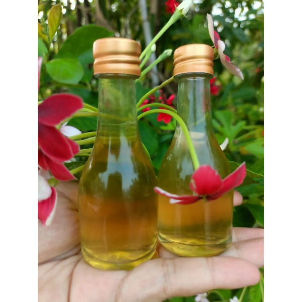 ไซรัปน้ำตาลหล่อฮังก้วย ในรูปแบบน้ำเชื่อม 0 แคลลอรี ขนาดใหญ่ 750ml. 4289&6395