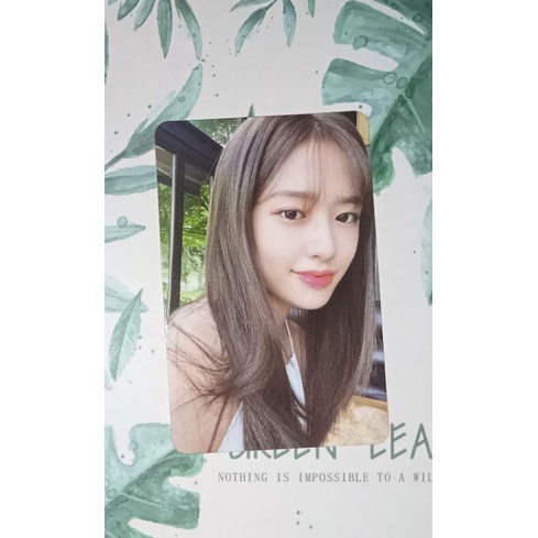 พร้อมส่ง การ์ดแท้จากอัลบั้ม ยูจิน Yujin IVE IZONE