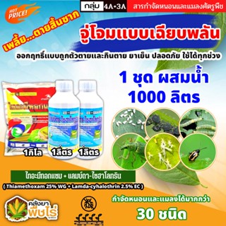 🌽 ชุดกำจัดเพลี้ยสิ้นซาก ไทอะมีทอกแซม+แลมป์ดา ไก่เกษตร (ไทอะมีทอกแซม+แลมป์ดา-ไซฮาโลทริน) จู่จอมแบบเฉียบพลัน