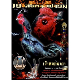 ไข่เชื้อไก่ชน ลูกดำเจาะเกราะ รับประกันเชื้อ!!!(ส่งด่วน)!!!