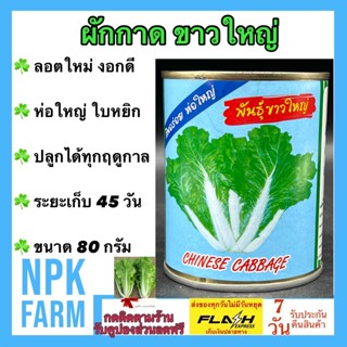 ผักกาดขาว ขาวใหญ่ 80 กรัม เมล็ดพันธุ์ ลอตใหม่ งอกดี ปลาทอง กินอร่อย ห่อใหญ่ ต้นและกาบใหญ่ ใบหยิก ปลูกได้ทุกฤดู