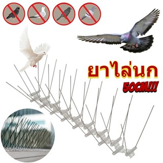 เตรียมจัดส่ง หนามไล่นก ยาไล่นก ที่ดักนก Bird Spikes เหล็กกล้าไร้สนิม 25/50 ซม