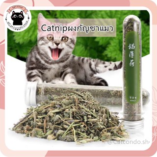 ❤️Catnip ออร์แกนิค ของเล่นแมว บอลcatnip❤️