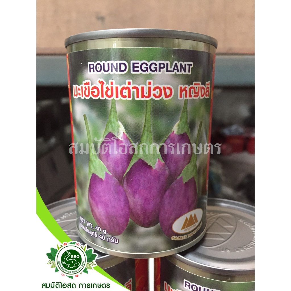 เมล็ดมะเขือไข่เต่าม่วง หญิงลี Round Eggplant ตราภูเขาทอง ขนาด40กรัม