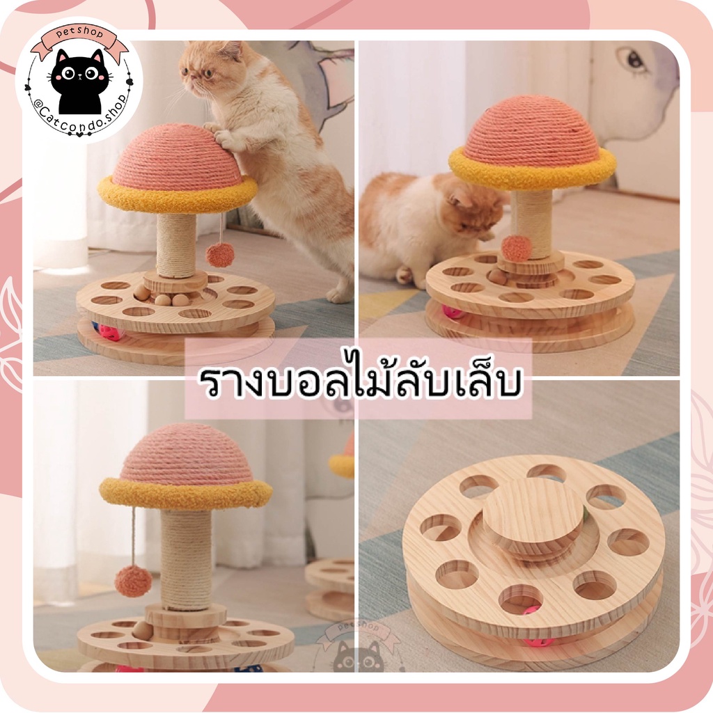 ของเล่นแมว ที่ลับเล็บแมว รางบอลแมว ลูกบอลแมว วงล้อไม้