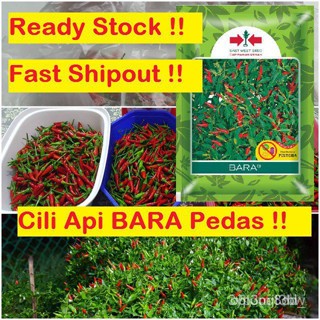 ผลิตภัณฑ์ใหม่ เมล็ดพันธุ์ จุดประเทศไทย ❤เมล็ดพันธุ์Benih Cili Api BARA Pedas Panah Merah / Chili BARA Seed Bran /ดอก 1BZ