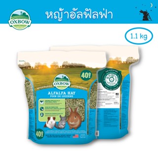 หญ้าอัลฟาฟ่า (Alfalfa Hay) ขนาด 40 oz (1.1 kg) ยี่ห้อ Oxbow - WH16