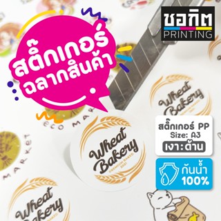 สติ๊กเกอร์ฉลากสินค้า PP ขาว A3