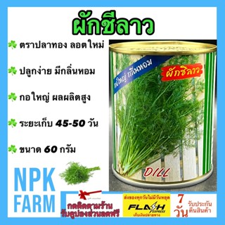 ผักชีลาว ขนาด 60 กรัม เมล็ดพันธุ์ ปลาทอง ลอตใหม่ งอกดี กอใหญ่ นำ้หนักดี ปลูกง่าย ให้ผลผลิตสูง ปลูกได้ทั้งปี npkplant