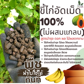 ขี้ไก่อัดเม็ด 100% (ไม่ผสมแกลบ) มูลขี้ไก่อัดเม็ด สูตรบำรุง ดอก ผล ไม้ดอก ไม้ผล ดก าม สูตรบำรุง อัดเม็ดพร้อมส่ง (pack2kg)