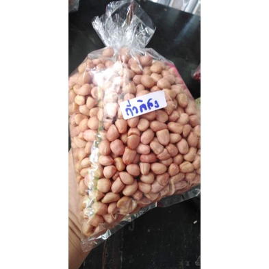ถั่วลิสง​จัมโบ้​ (เมล็ด​พันธุ์)​เกษตรจัมโบ้จีน1กก150บาท​ สำหรับ​เพาะปลูก​หรือรับประทาน​(คำเตือนถั่วจีนงอกยากกว่าถั่วไทย) ราคา ถูกที่สุด ดีลบีเคเค แกลเลอรีภาพที่ 2