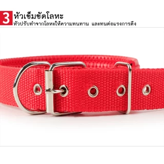 BN-142 ปลอกคอสุนัขและสัตว์เลี้ยง ผลิตจากไนลอน เหมาะสำหรับสุนัขและแมวทุกพันธุ์ ตั้งแต่พันธุ์เล็กจนถึงพันธุ์ใหญ่