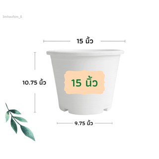 กระถางต้นไม้ กระถางพลาสติก กระถางแคตตัส กระถางต้นไม้พลาสติก กระถาง 4 นิ้ว 5 นิ้ว 6 นิ้ว 8 นิ้ว 10 นิ้ว 12 นิ้ว 15 นิ้ว 1