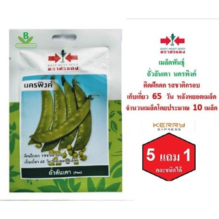 อินทรีย์ ใหม่ สายพันธุ์ เมล็ดพันธุ์ ถั่วลันเตา  นครพิงค์  ตราศรแดง เมล็ดพันธุ์ผัก เมล็ดผัก เมล็ดพันธุ์พืช  เมล็ด/ดอก A3G