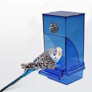 【AG】No-Drip Bird Feeder Attractive Plastic Easily Refill Automatic Food Holder for Home