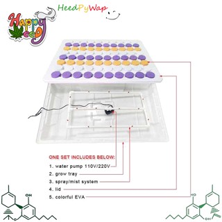 ถาดโคลน เซ็ทน้ำ Aeroponic cloning set hydroponic โคลนง่ายๆด้วย ระบบน้ำ ปักชำน้ำ