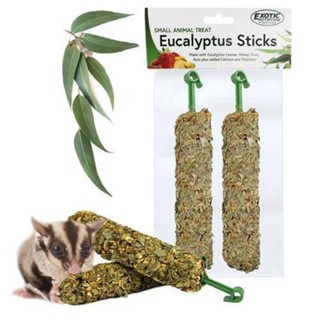 - ยูคาลิปตัส - ขนมแท่งยูคาลิปตัสสติ๊ก ยูคา Eucalyptus Sticks แบรนด์ Exotic Nutrition จากสหรัฐอเมริกา ชูการ์ไกลเดอร์