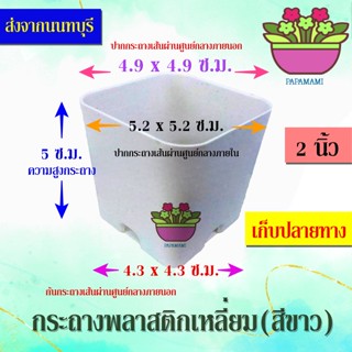 (20-100ใบ)papamami กระถางพลาสติก กระถางขาว เหลี่ยม 2นิ้ว กระถางปลูกต้นไม้ กระถางต้นไม้ ที่ปลูกต้นไม้ กระถางแค็คตัส