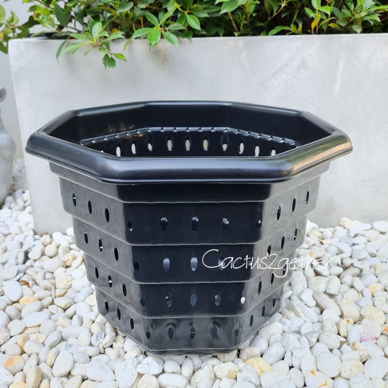 กระถางเร่งรากSuperหนา‼️หนา รูเยอะ ระบายน้ำดี เร่งรากโตไวขนาด10