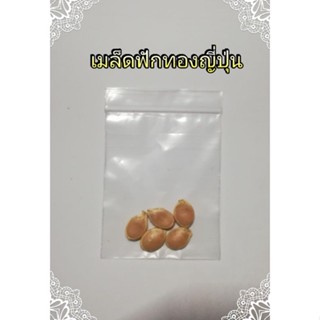 เมล็ดพันธุ์ฟักทองญี่ปุ่น(ถุงละ5เมล็ด)​