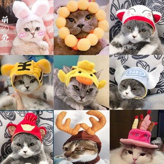 🐱พร้อมส่ง🐇หมวกสัตว์เลี้ยง Dogs&amp;Cats มีสไตล์และน่ารัก