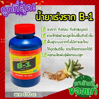 🔥ถูกสุด🔥 B1 บีวัน เร่งราก สูตรเข้มข้น Multi extra start B-1 บี-วัน น้ำยาเร่งราก ยาเร่งราก ช่วยในการปักชำ แตกรากพืช 100cc