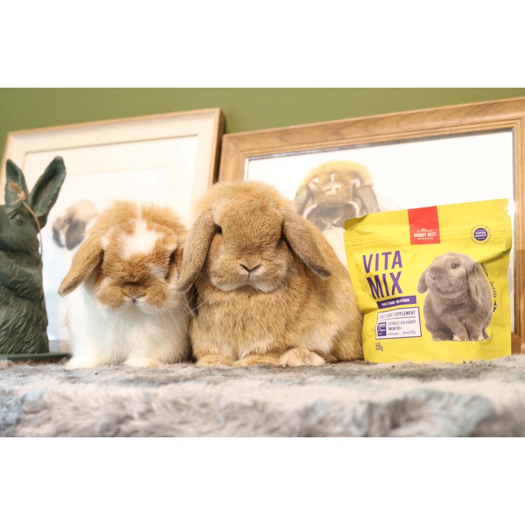 วิตามิน VITA MIX 120g. by Bunny Best ราคา ถูกที่สุด ดีลบีเคเค แกลเลอรีภาพที่ 5