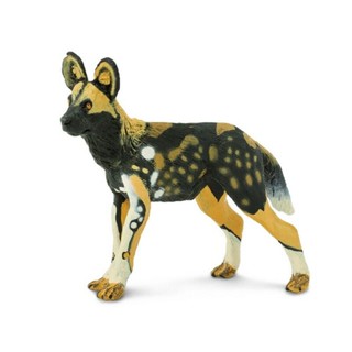 โมเดลสัตว์จําลอง Safari Afri African Wild Dog Tricolor ของเล่นสําหรับเด็ก239729