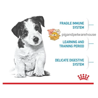 Royal Canin แบ่งขาย Mini Puppy 1กิโลกรัม โรยัลคานิน ลูกสุนัขพันธุ์เล็ก เดือน โรยัล คานิน Mini Adult แบ่งขาย Mini Starter