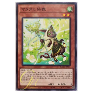 [BACH-JP031] Catnip Li Hua (Common)