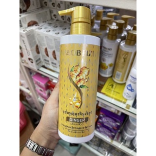 Aobeizi Ginger Oil Control Anti-Dandruff Shampoo 500ml. แชมพูสูตรจินเจอร์