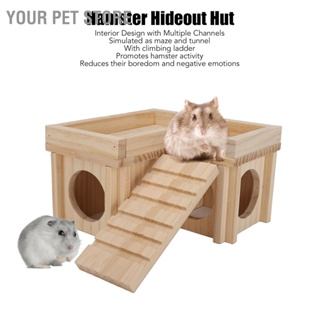 Your Pet Store บ้านหนูแฮมสเตอร์ หลายห้อง ของเล่นอุโมงค์ไม้ ขนาดเล็ก พร้อมบันได สําหรับสัตว์เลี้ยง หมีสีทอง