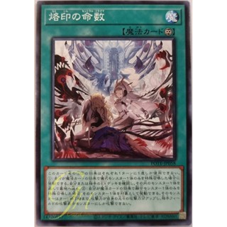 [POTE-JP058] Branded Central Dogmatika (Common)