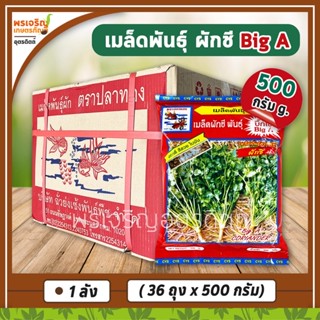 เมล็ดพันธุ์ผักชี ผักชีบิ๊กเอ Big A เมล็ดซีก (ยกลัง 36 ถุง) เมล็ดผักชียกลัง ผักชีปลาทอง เมล็ดพันธุ์ผักสวนครัว ตราปลาทอง