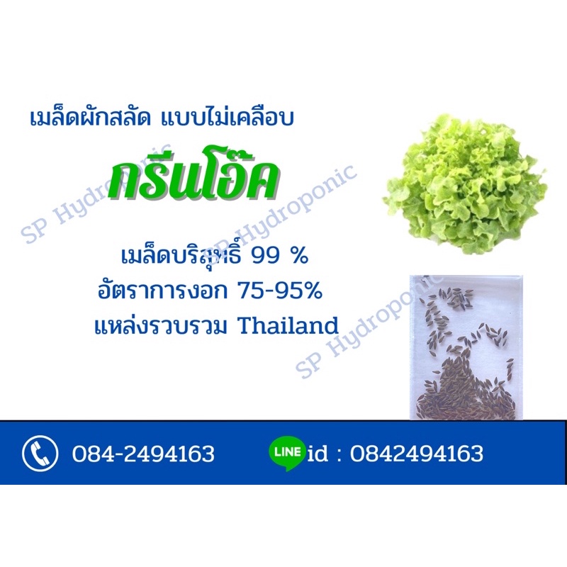 เมล็ดผักสลัดไม่เคลือบ บรรจุซอง ประมาณ 100-250 เมล็ด