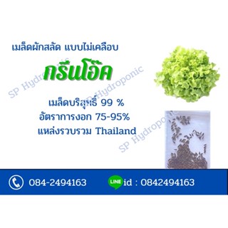 เมล็ดผักสลัดไม่เคลือบ บรรจุซอง ประมาณ 100-250 เมล็ด