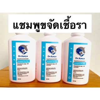 แชมพูขจัดเชื้อราแมว แบคทีเรีย ยีสต์  สูตรบำรุงขน ขนาด 100 ml แชมพูเชื้อรา