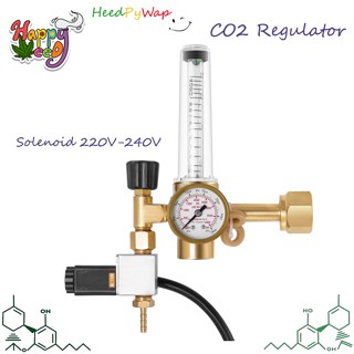 CO2 เรกูเลเตอร์คาร์บอน เกลียวไทย พร้อมโซลินอยด์ Solenoid 220V-240V CO2 Regulator