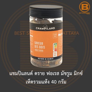 แชมปิแลนด์ ดราย ฟอเรส มัชรูม มิกซ์ เห็ดรวมแห้ง 40 กรัม Champiland Dried Mushrooms Mix 40 g.